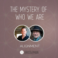 The Mystery Of Who We Are #Alignment