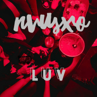 NVUSXO - LUV [BayAreaCompass]
