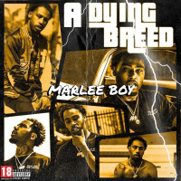 Marlee Boy - Puddle [BayAreaCompass]