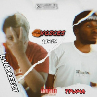 LulBreezy x TPuma - Voices Remix [BayAreaCompass]