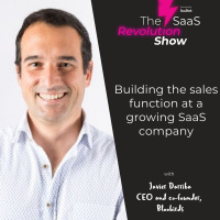 Building the sales function at a growing SaaS company with Javier Darriba, CEO, Bloobirds