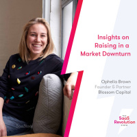 Insights on Raising in a Market Downturn