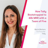How Tally Bootstrapped to 60k MRR with a Team of Five