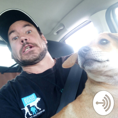 Kieran Lifteds Dog Days In Kl