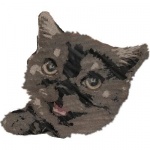 San Diego Complimentary Cocktails