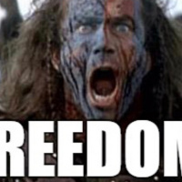 Episode 231 - Freedom is all we need