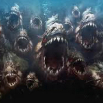 Coach Cameron Soccer