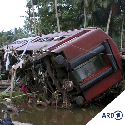 Die Korrespondenten In Neu-delhi