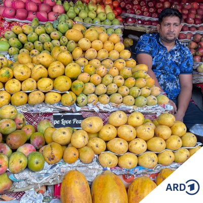 Die Korrespondenten In Neu-delhi