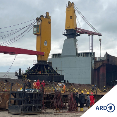 Die Korrespondenten In Neu-delhi