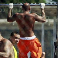 Will Doing A LOT OF PULL UPS Build Muscle? TRYING THIS WORKS!