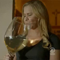 Does Red Wine Make YOU FAT? SCIENTIFIC RESEARCH!