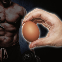 Eating Eggs FOR Muscle BUILDING Is AMAZING!