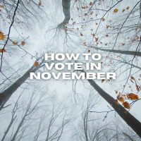 11.01.20 - Scott Parker. How To Vote In November?