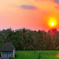 #119 – Taking Action Past The Motivation