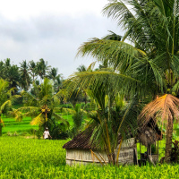 #117 – No one cares about your hard work, until it pays.