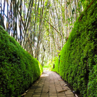 #118 — 3 Reasons Why I Delete 80% of my Friends on Facebook