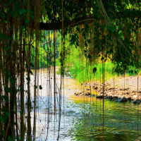 #121 – Why do a lot of people think the World is dangerous?