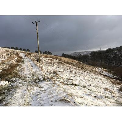 Snakewomangirl Goes Wandering