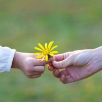 192 - Gentilezza ed educazione