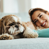 180 - Lamore degli animali