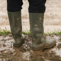 212 - ELOGIO CONTRO LINCIVILTÁ