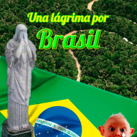 Una Lágrima por Brasil