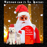 Navidad con el Sr. Orejas