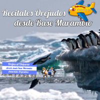 Recitales Orejudos desde Base Marambio