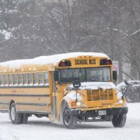 The Business of Bus Cancellations