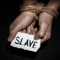 Change the Hearts That Change the Culture