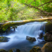 Understanding Gods Nature