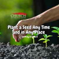 Plant a Seed Any Time and in Any Place