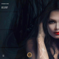 Reflection [Sounds and Frequencies Recordings]