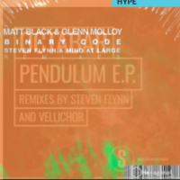 Matt Black, Glenn Molloy - Binary Code (Steven Flynn Remix) [Hexagonal Music]