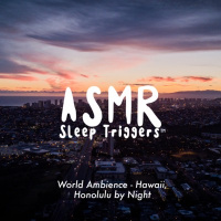 World Ambience - Hawaii, Honolulu by Night (City Noise)