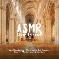 World Ambience - The Bell Tower at Beverley Minster, UK