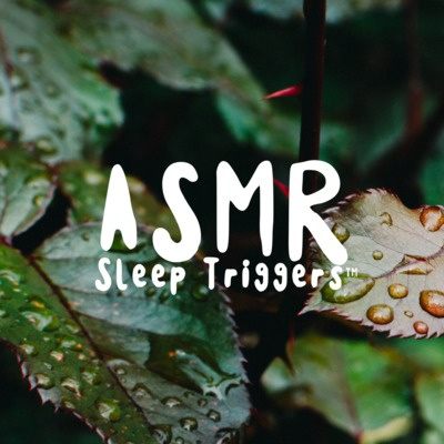 Asmr Sleep Triggers - Relaxing Sleep And Meditation Sounds With Nature Sounds And Relaxing Music