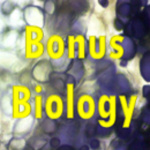 Bonus Biology