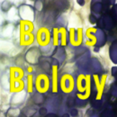 Bonus Biology