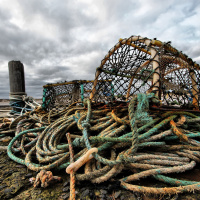 ¡Casi caigo en la Trampa! (Podcast #09) - Julio César Barreto