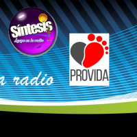 Somos PROVIDA - (Síntesis S-242-17) 