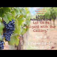 Christ Basics: Let Us Be Diligent With Our Calling. Part 3