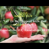 Christ Basics: Let Us Be Diligent With Calling Part 1