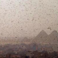 TRP 23: Jesus In Exodus Part 11, Ch.10:1-20: God’s Judgment On Pharaoh’s Pride