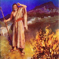 TRP 13: Jesus In Exodus Part 2, Ch.5