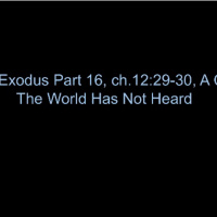 TRP 34: Jesus In Exodus Part 16, ch.12:29-30, A Cry That The World Has Not Heard