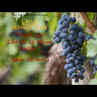 Christ Basics: Faith In Christ Is Alive Faith