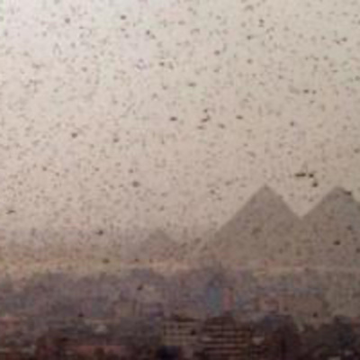 John Boardman Podcast