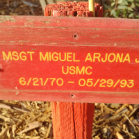 Camp Hamilton #029 Miguel Arjona Jr